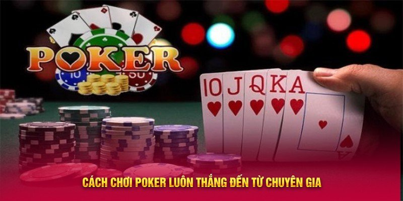 Cách chơi Poker luôn thắng đến từ chuyên gia